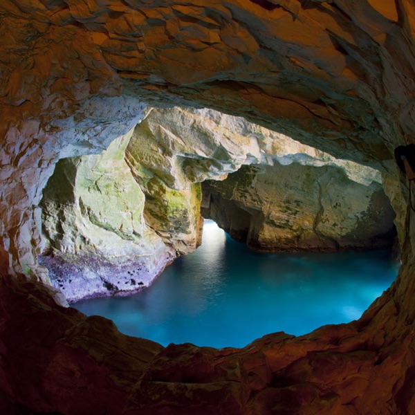 על כוחו העוצמתי ביותר של האדם - חמלה. עם ארנינה קשתן photo