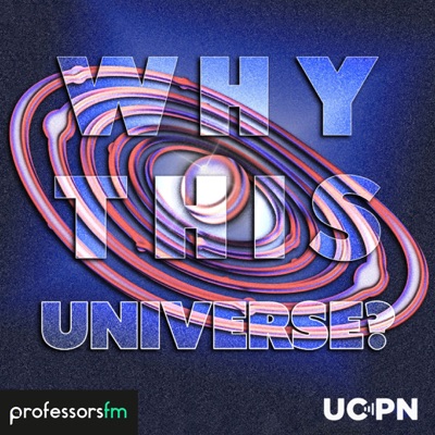 Why This Universe?:Dan Hooper, Shalma Wegsman