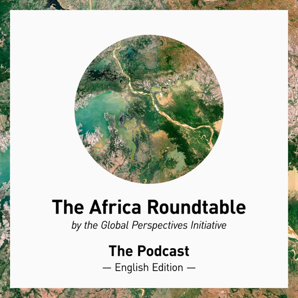 The Africa Roundtable - English Edition