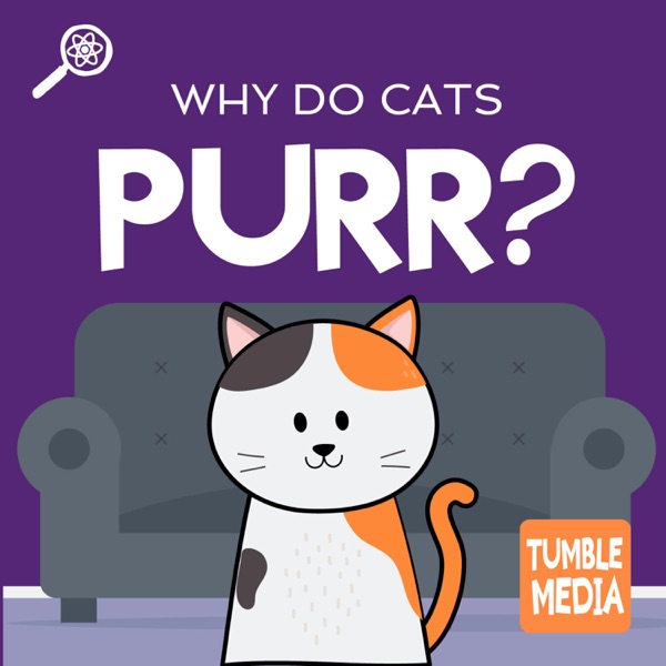 Why Do Cats Purr? (ENCORE) photo