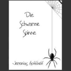 Die schwarze Spinne (Hörbuch)