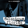 Felonious Florida thumnail