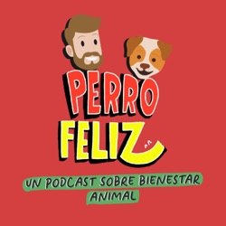 ¿Es recomendable sedar a los perros?