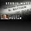 Studiu Matei - VLADIMIR PUSTAN