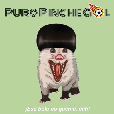 Puro Pinche Gol Puro Pinche Gol