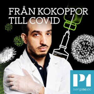 Från kokoppor till covid