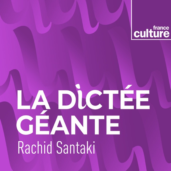 Couverture La Dictée géante