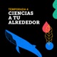 Ciencias a tu Alrededor 