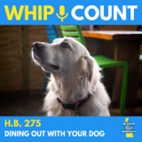 HB 275: Dining Out With Your Dog