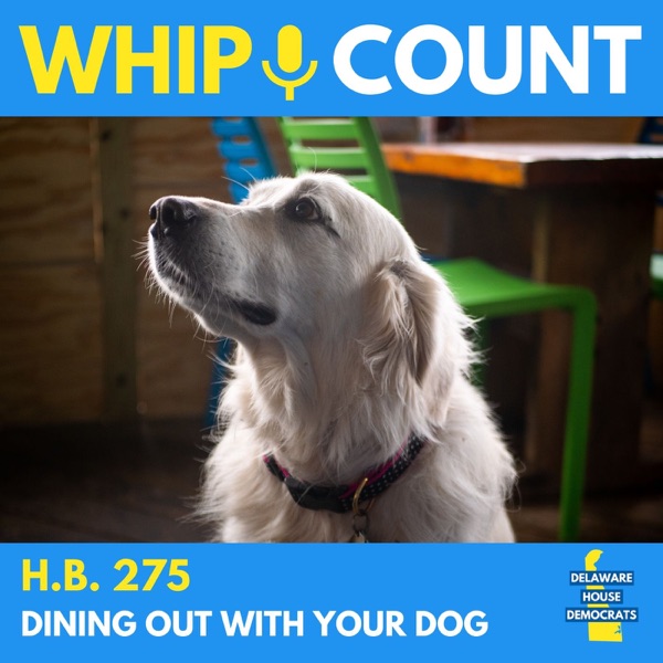 HB 275: Dining Out With Your Dog photo