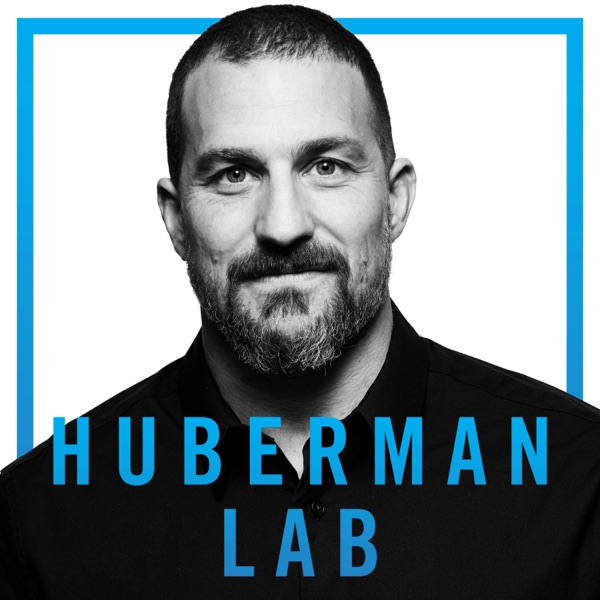 Huberman Lab banner image