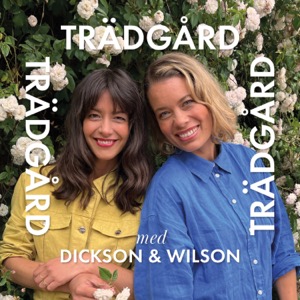 Trädgård Trädgård Trädgård med Dickson och Wilson