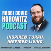 Rabbi Dovid Horowitz Podcast - Rabbi Dovid Horowitz