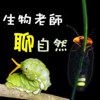 【生物老師聊自然】小故事，談生態 - 小虎老師