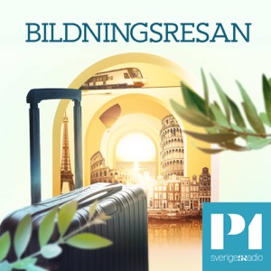 Bildningsresan