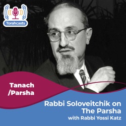 Parsha with the Rav: Lech Licha