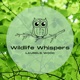 Wildlife Whispers