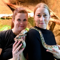 Jennianne delar hem med ormar, spindlar och skorpioner