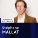 Sciences des données - Stéphane Mallat