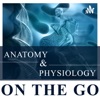 Logo of the podcast Anatomy & Physiology On The Go