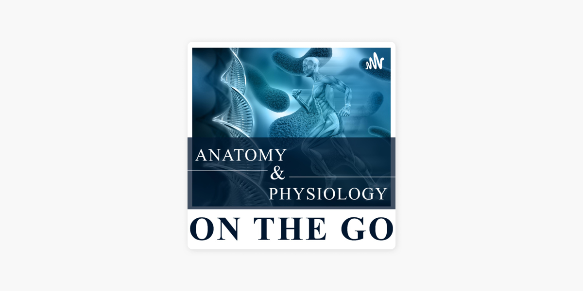 Importance Of An Anatomy And Physiology Foundation - The HR Gazette and  HRchat Podcast