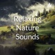 Ocean Waves With Sound Of Seagulls Birds 2 Hours Relaxing Sounds For Sleep, Focus, Study - White Noise