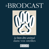 Le Brodcast - le podcast qui prend soin des animaux et de leur famille - Goodbro