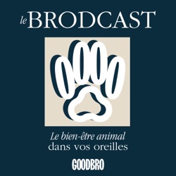 Le Brodcast - le podcast qui prend soin des animaux et de leur famille