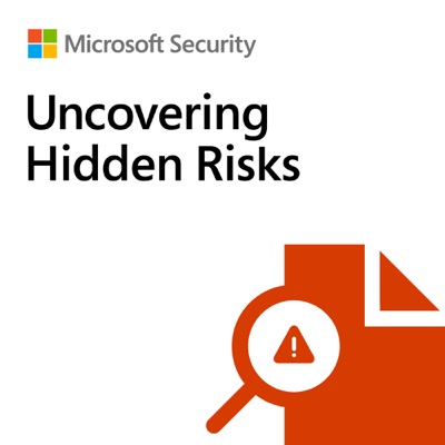 Uncovering Hidden Risks