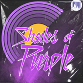 Shades Of Purple: A Prince Podcast - Ronica Crutchfield
