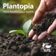 Plant Health from the Ground Up
