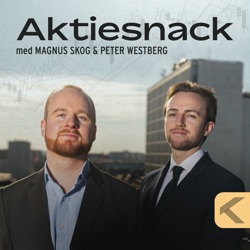 Aktiesnack