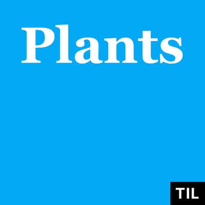 TIL: Plants:TIL