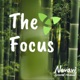 The Focus