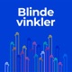 Blinde Vinkler -