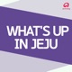 What's up in Jeju