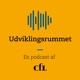 #5 Den selvstændige konsulents arbejde med ledelsesudvikling