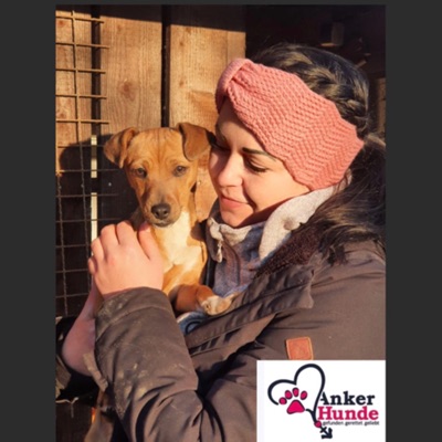 đ¶ Der Ankerhunde Podcast đ¶ đ¶ Der Ankerhunde Podcast đ¶