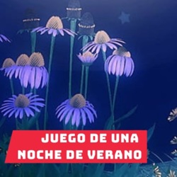 Juego de una noche de verano