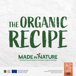 The Organic Recipe by Made in Nature 
