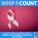 Breast Cancer Awareness Month: Shining a Light on Breast Cancer and Health Equity