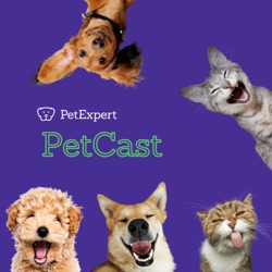 PetCast - PetExpert Podcast series