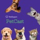 PetCast - PetExpert Podcast series