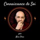 PNL : La mystérieuse pyramide de Dilts (ou Niveaux Logiques)