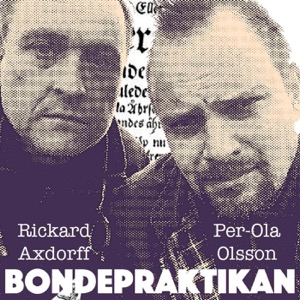 Bondepraktikan