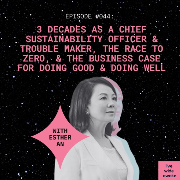 #044 Ether An: on 3 decades as a Chief Sustainability Officer & trouble maker, the race to zero, & the business case for doing good & doing well photo