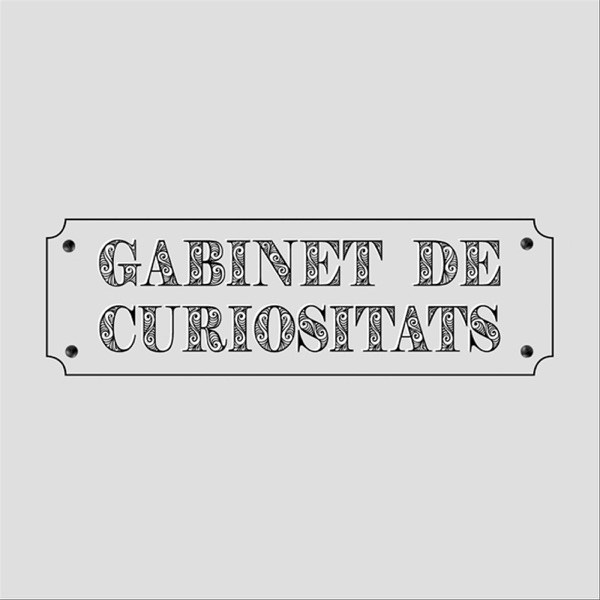 Gabinet de curiositats