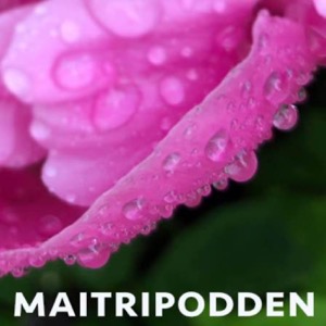 Maitripodden – Viryabodhi
