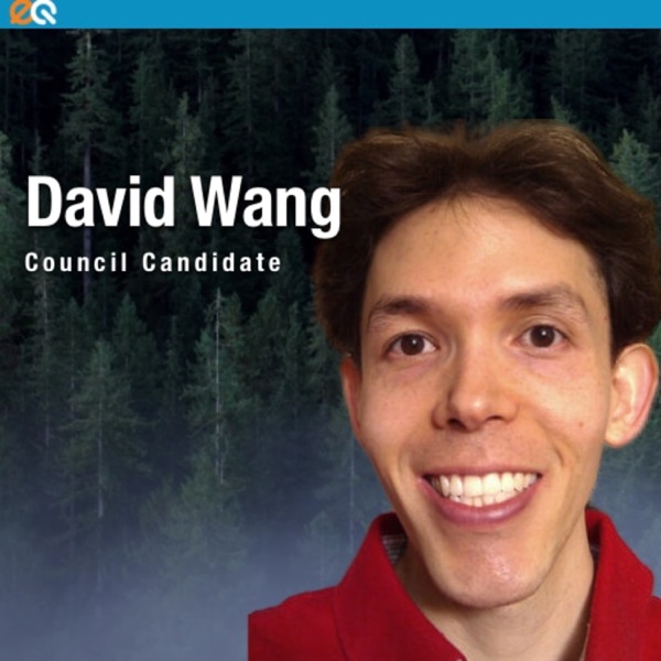 David Wang (council candidate) photo