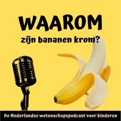 Kun je je slim eten?